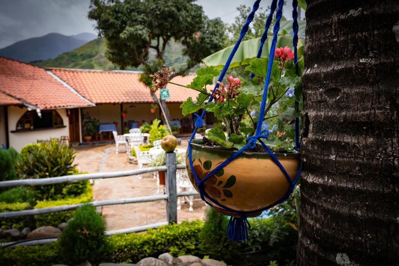 Hostal Jardin Escondido Vilcabamba Kültér fotó